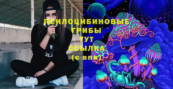 а пвп мука Армянск